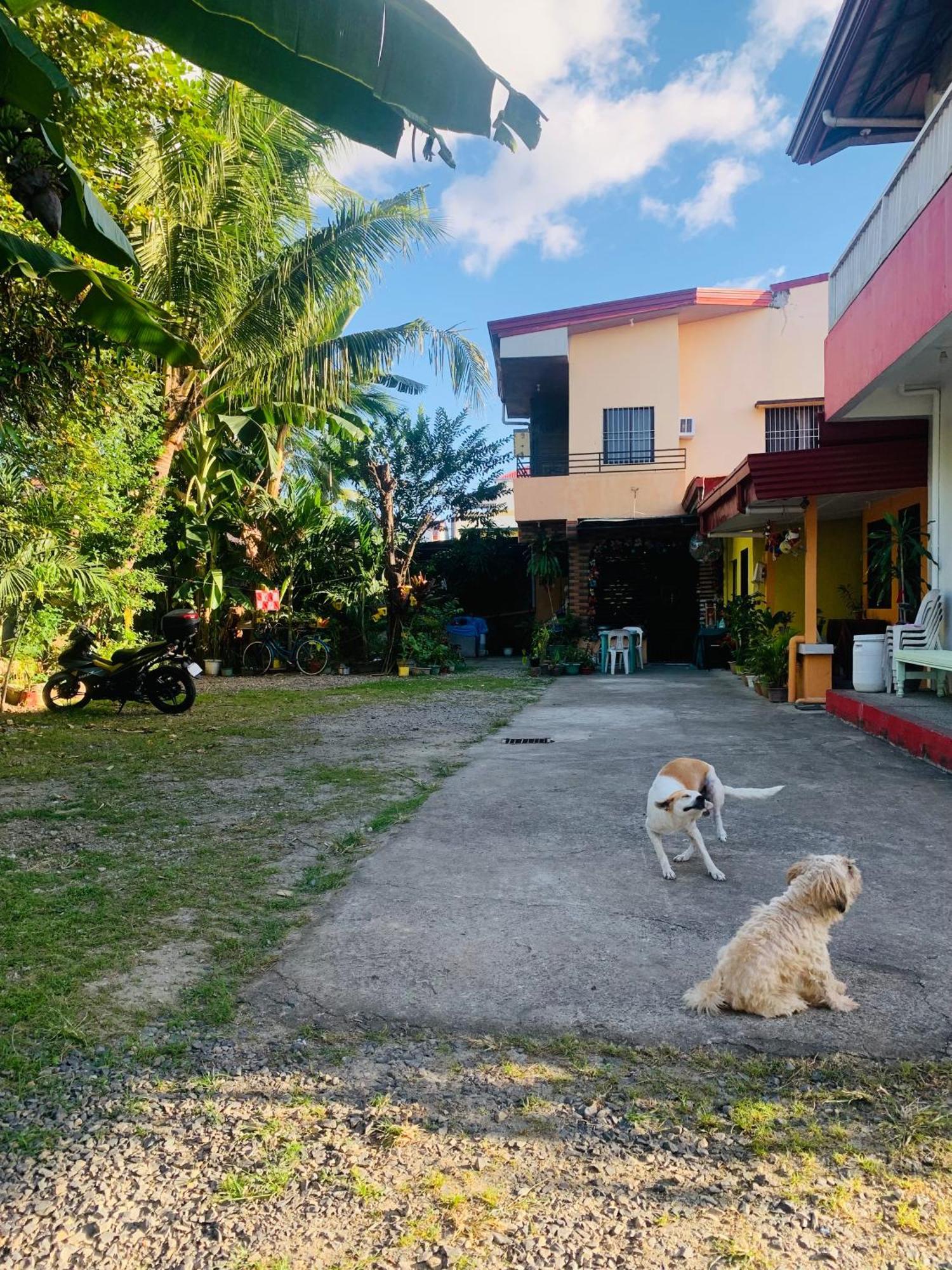 Perlies Inn Tanay Barkada House Zewnętrze zdjęcie